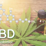 Comment bien choisir son huile de CBD ?